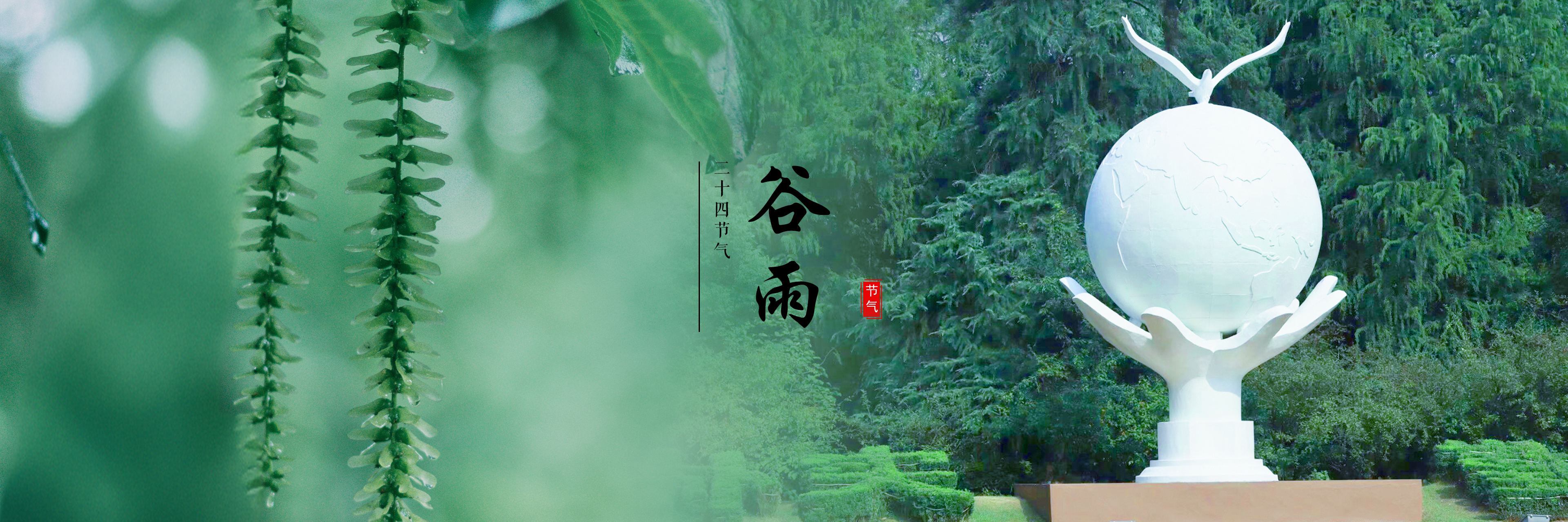 谷雨